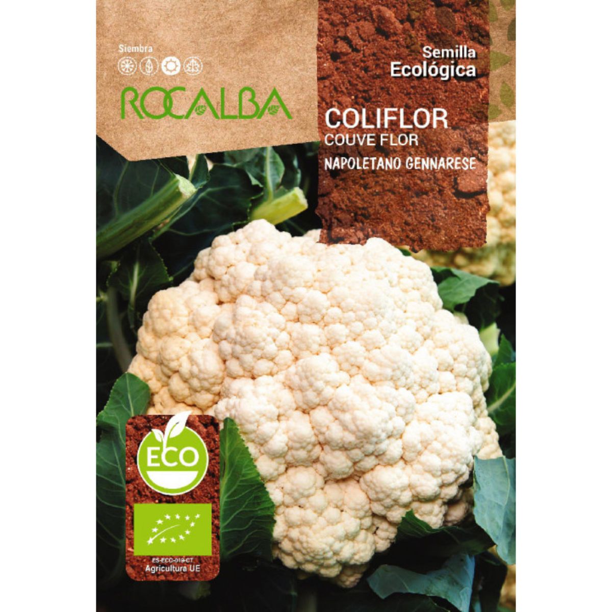 Rocalba organic Neapolitan cauliflower seeds