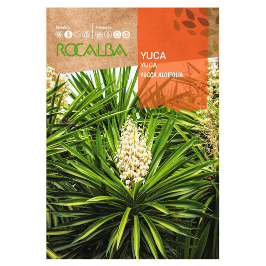 Semi di Yucca, Rocalba