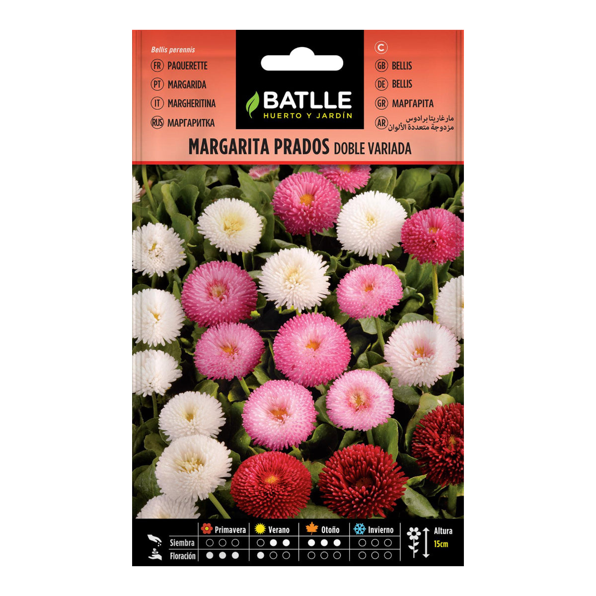 Batlle double variety meadow daisy seeds
