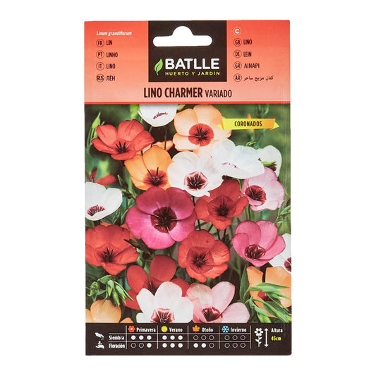 Linfrön charmer mix Batlle