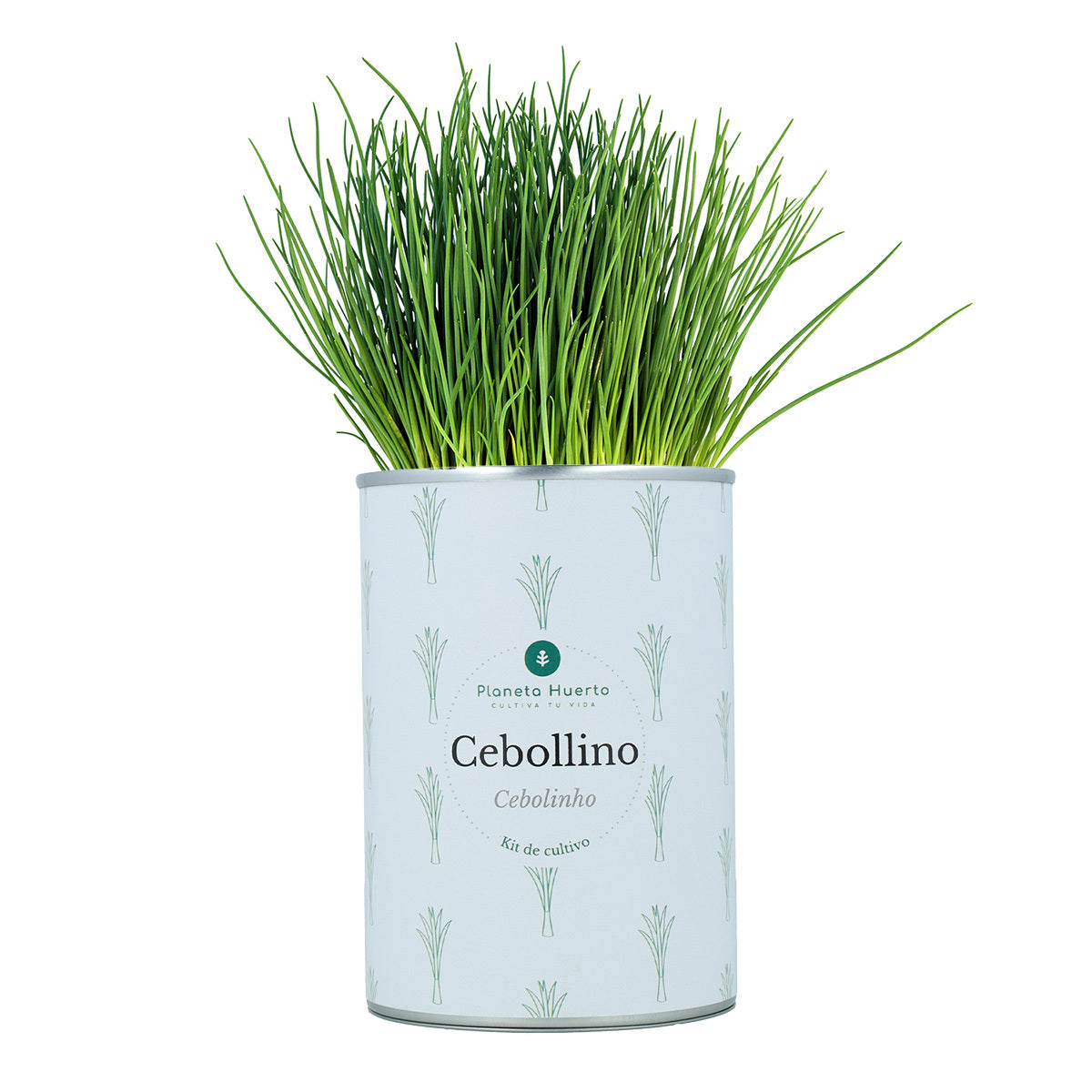 Kit de culture aromatique Coffre Planeta Huerto