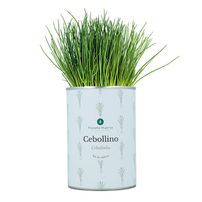 Kit de culture aromatique Coffre Planeta Huerto