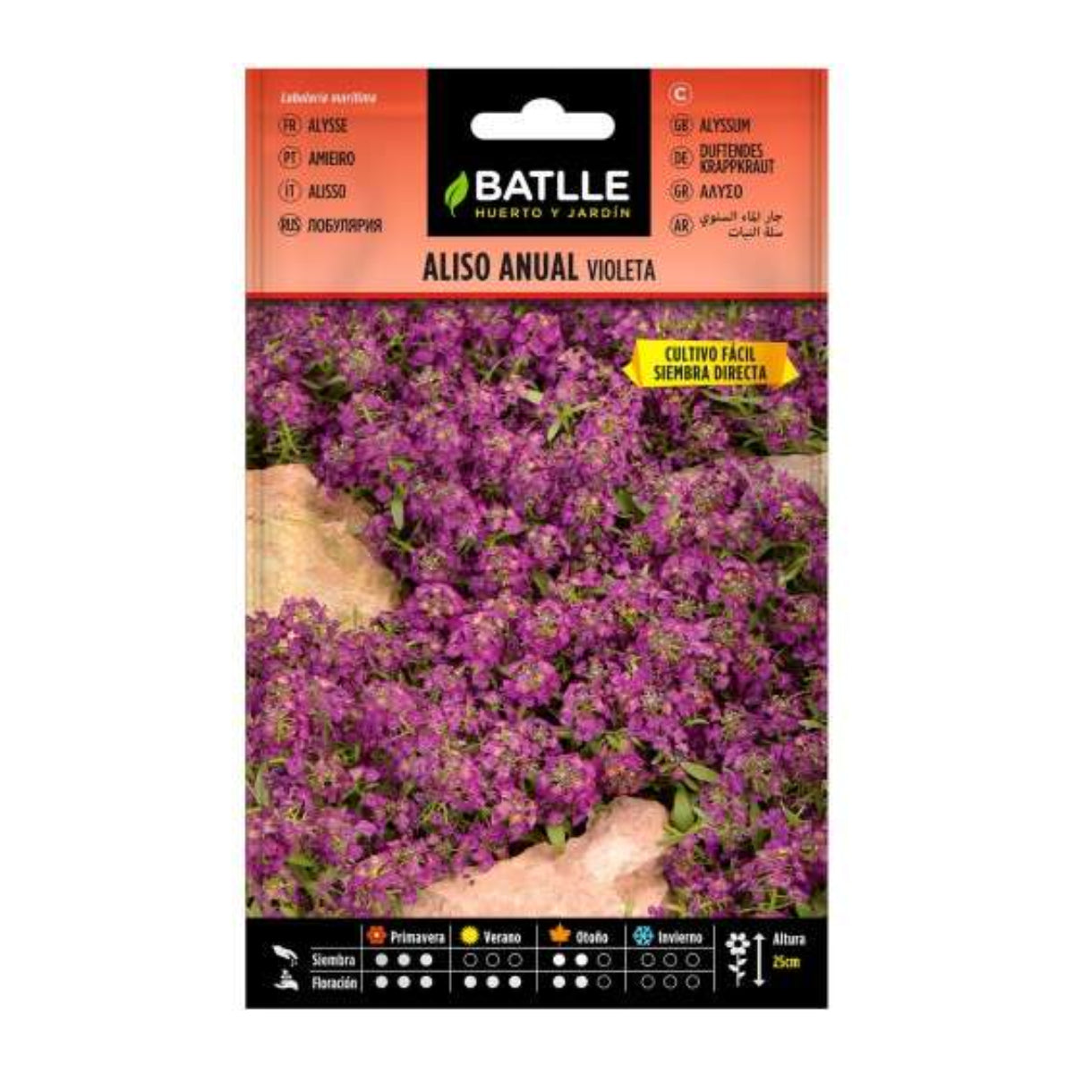 Nasiona fioletowej olchy jednorocznej Batlle