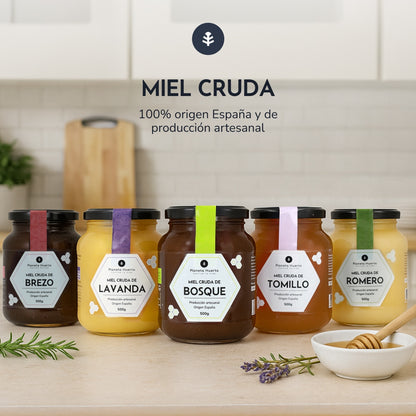 Pack 6x Miel Cruda de Azahar Planeta Huerto 500 g