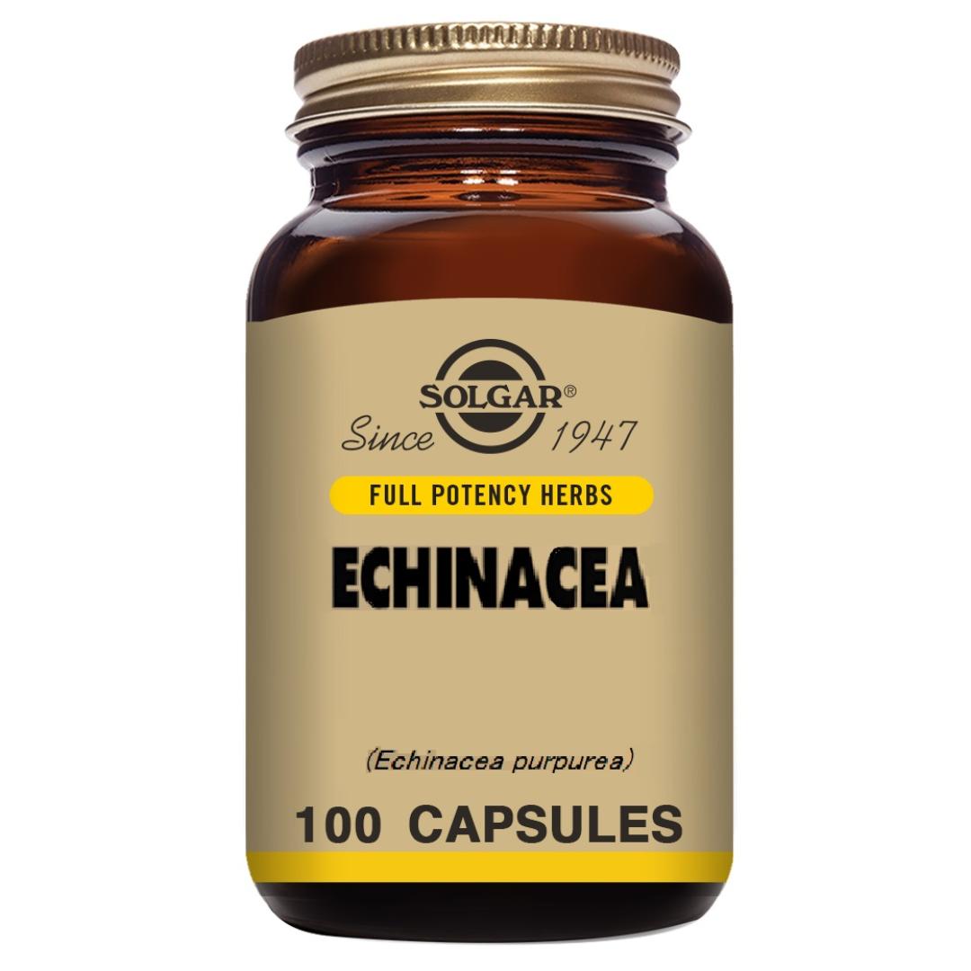 Echinacea, 100 kapslar à 520 mg