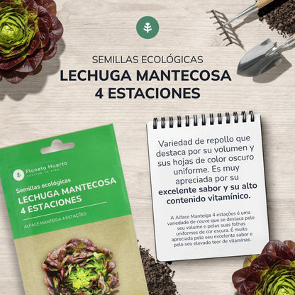 Semences de laitue beurre bio 4 saisons Planet Vegetable Garden