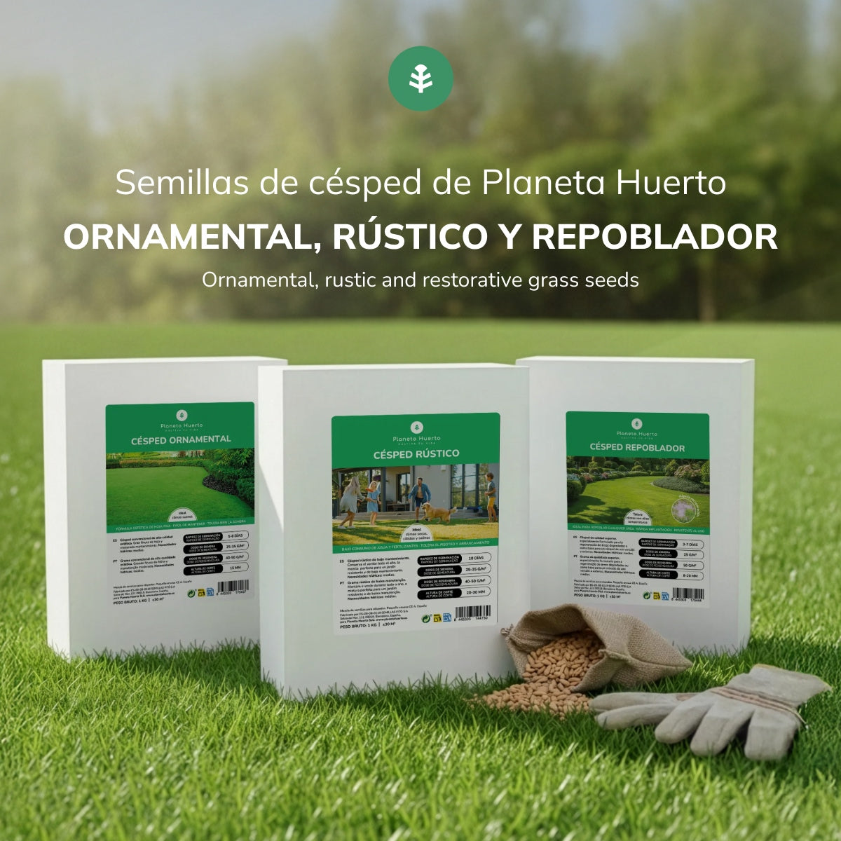 Ornamental Grass Seeds Planeta Huerto 1 kg