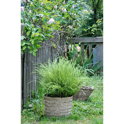 Blumentopf-Überschlag Basket Rinia Natural 35 x 32 cm