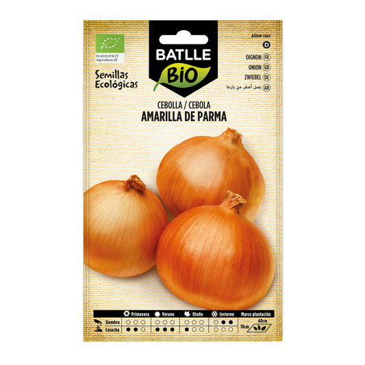 Graines d'oignon jaune de Parme bio Batlle