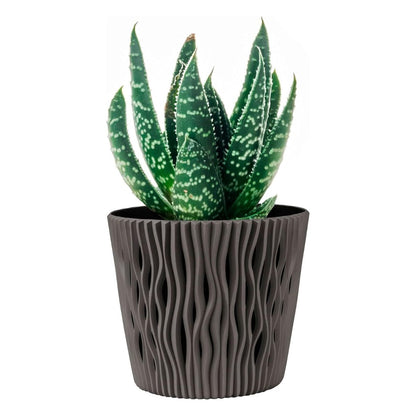 Blumentopf Duna mit grauem Einsatz D 19 x 17