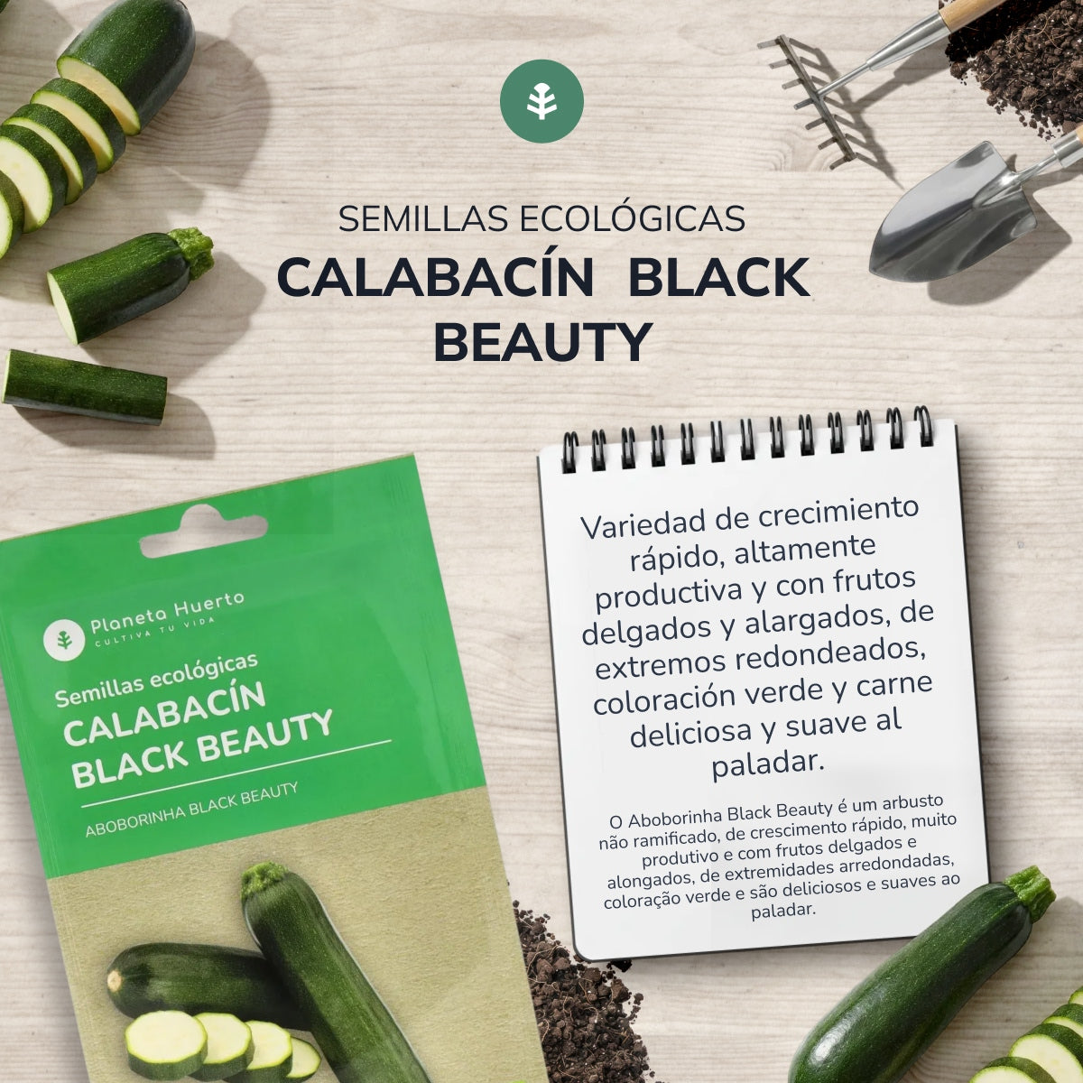 Organic Zucchini Black Beauty seeds Planeta Huerto