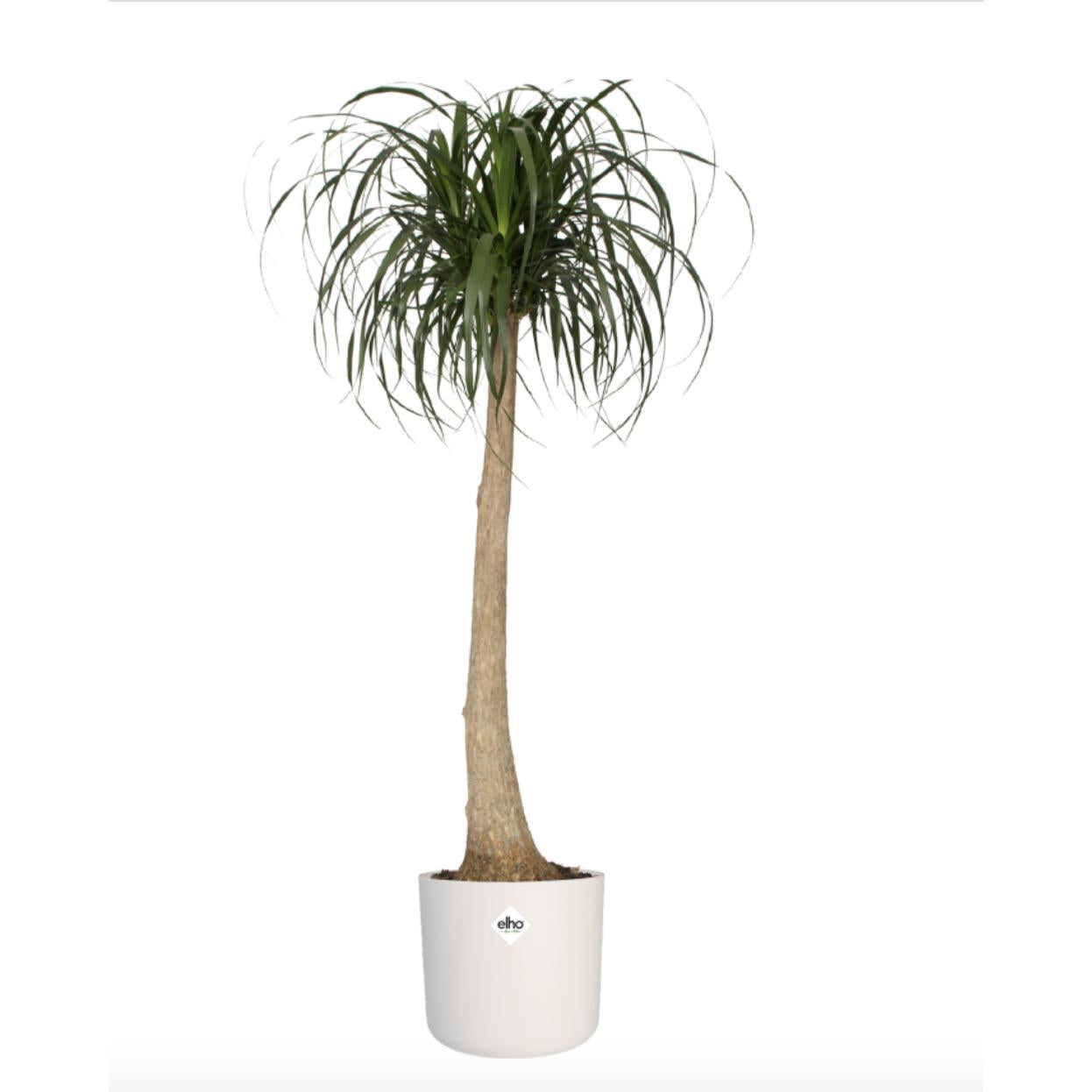 Bloempot B.for Soft Round Elho Wit 22 cm