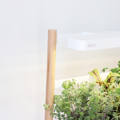 Prêt à Pousser Indoor Garden MODULE