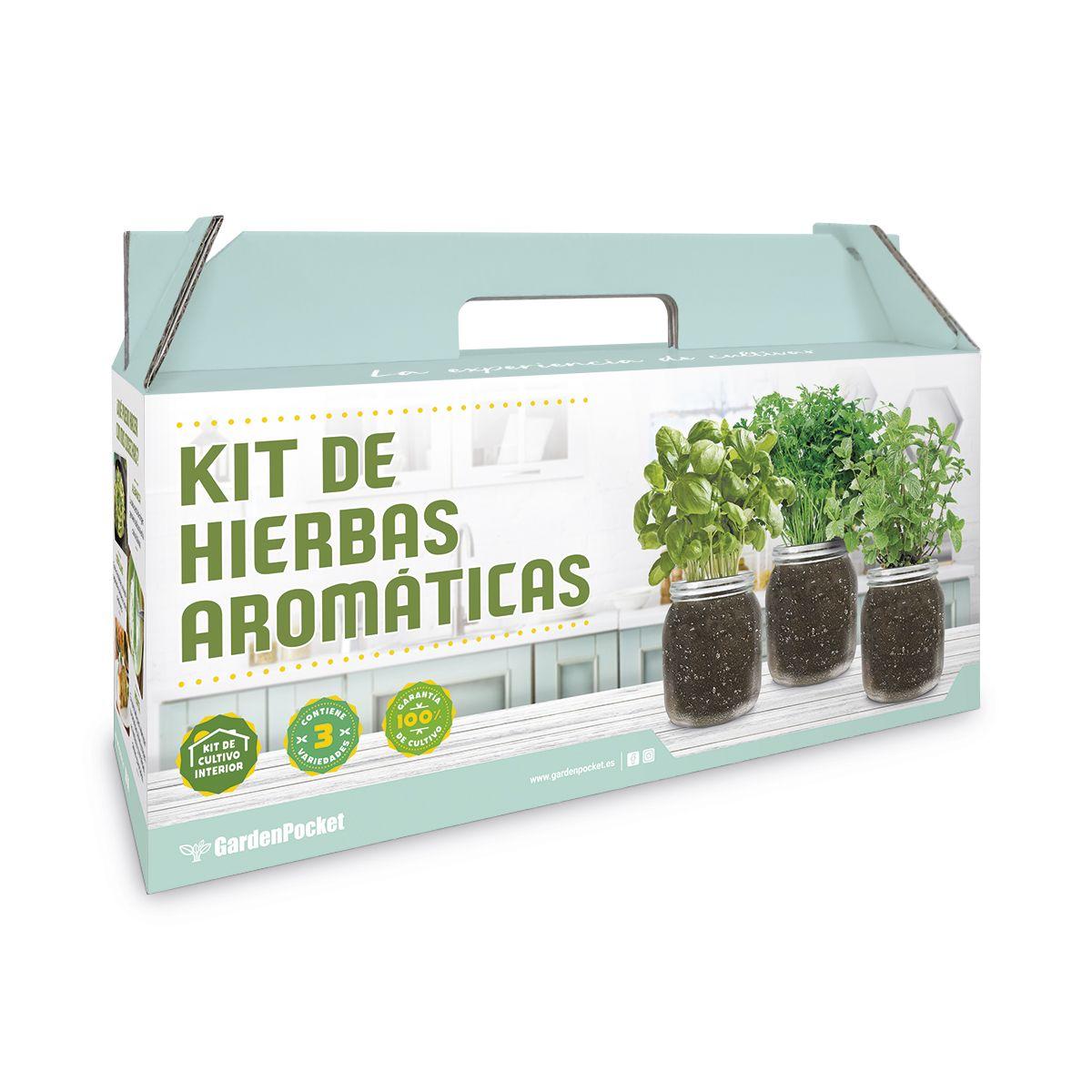 Indoor Herb Growing Kit: Oregano, Coriander and Mint