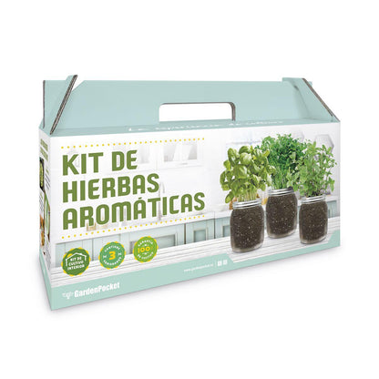 Indoor Herb Growing Kit: Oregano, Coriander and Mint
