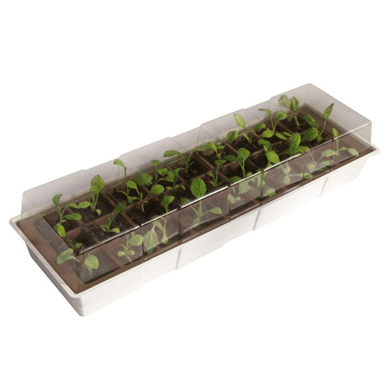 Mini-Gewächshaus für Fensterbank Kit Windows Nortene 49 x 15,5 cm