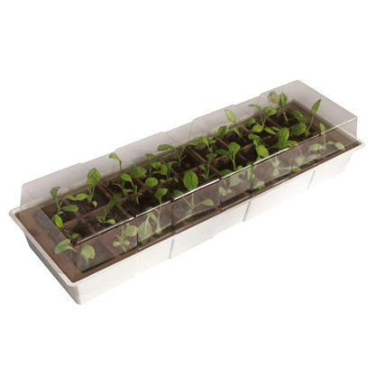 Mini-Gewächshaus für Fensterbank Kit Windows Nortene 49 x 15,5 cm