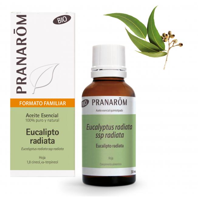 Pranarom Organic Eucalyptus Radiata Leaf Essential Oil 30 ml