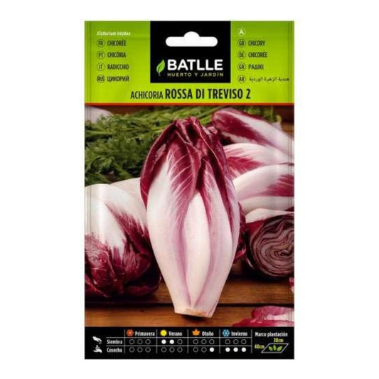 Semi di cicoria Rossa di Treviso Batlle