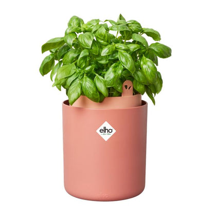 Doniczka samonawadniająca Bouncy Basil Elho Terra