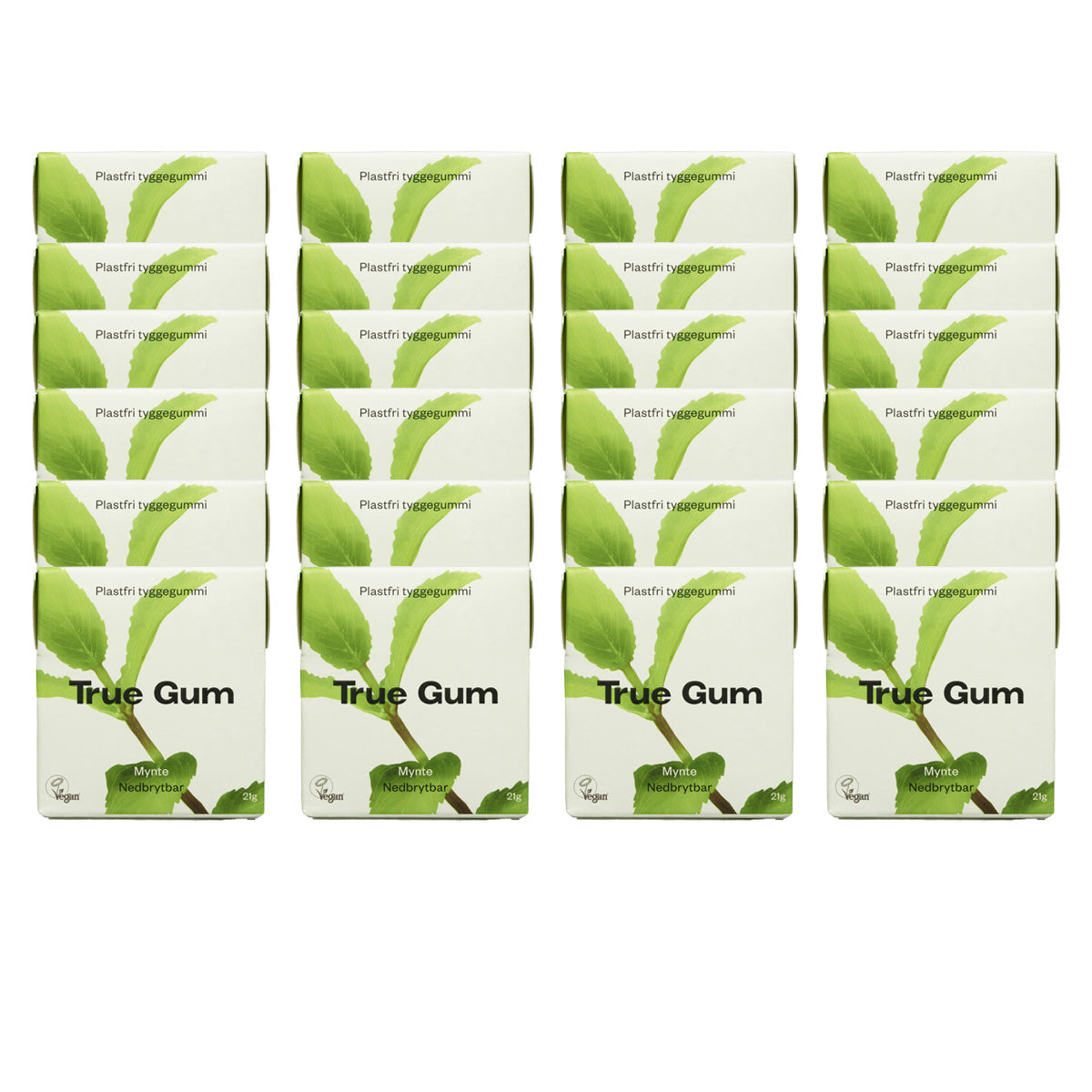 Pack of 24 plastic-free fresh mint chewing gums True Gum 21 g