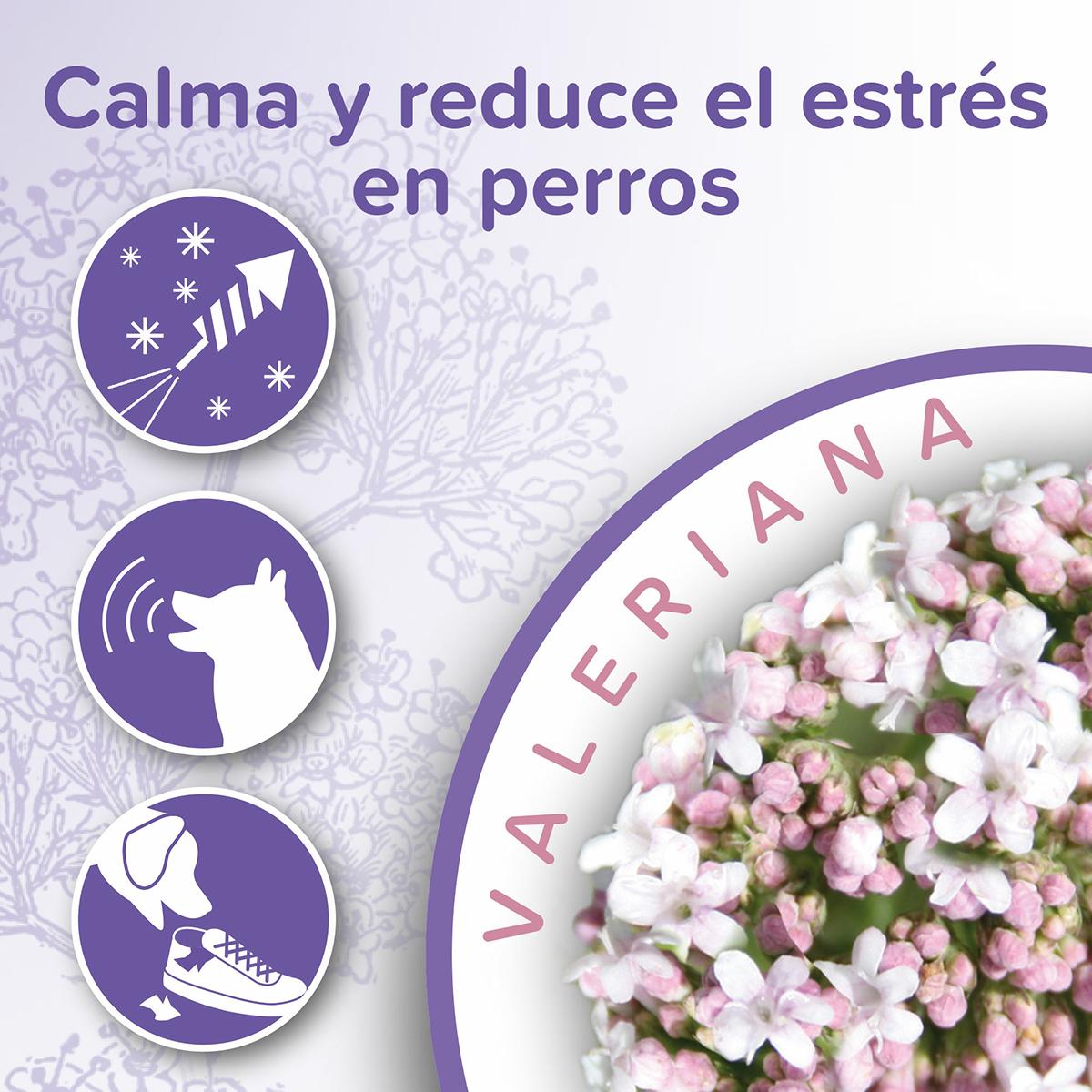 Collare calmante naturale per cani Beaphar 65 cm