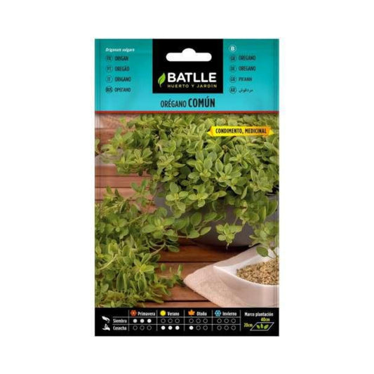 Common Oregano Seeds Batlle