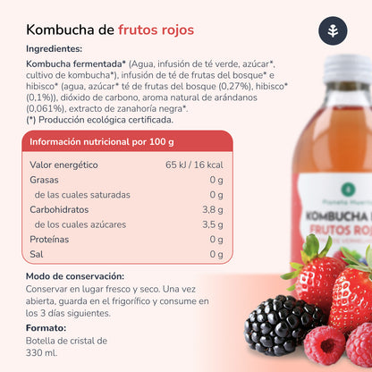 Kombucha ECO Rote Früchte Planet Orchard 330 ml