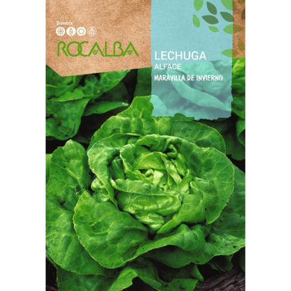 Winterwunder-Salatsamen