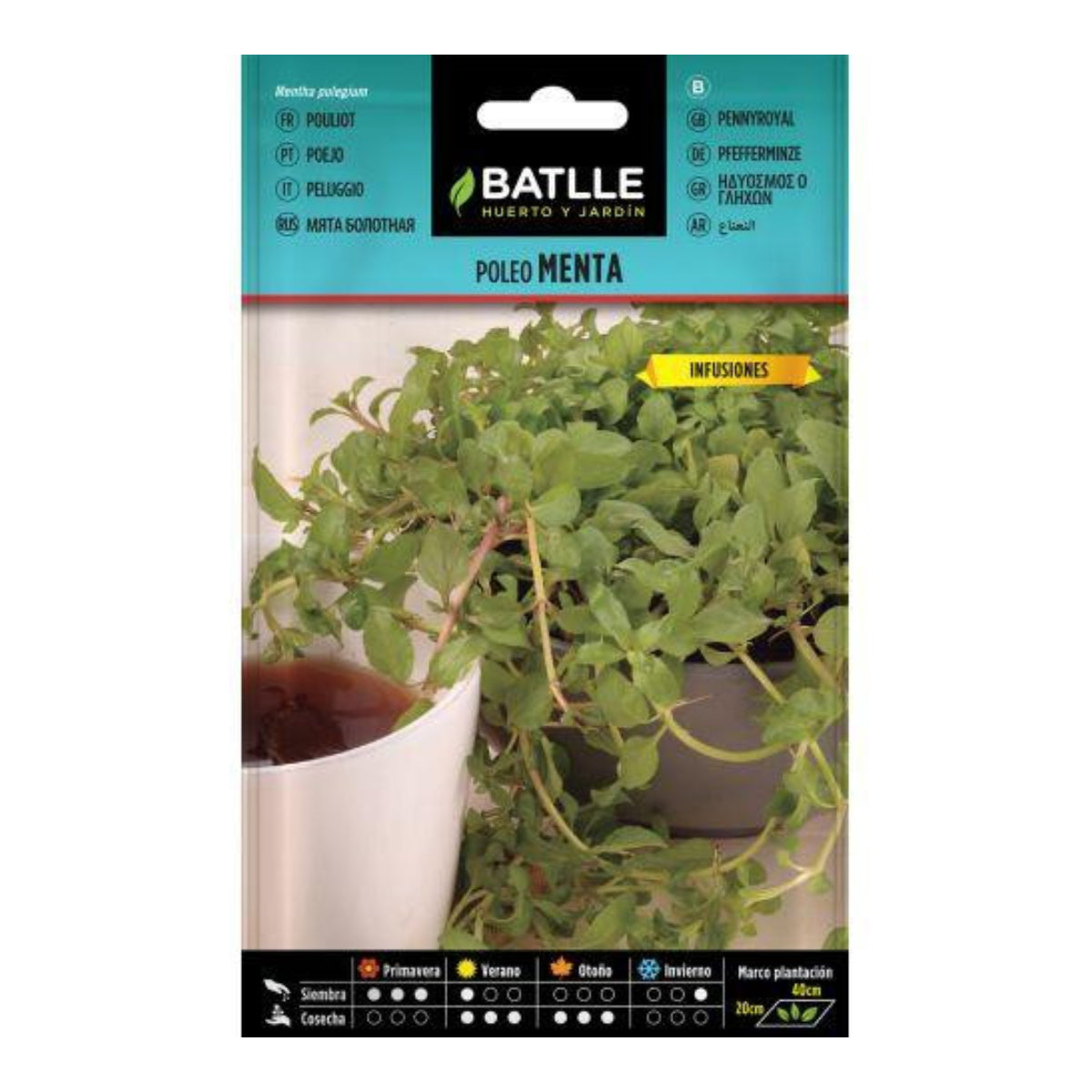 Batlle Pennyroyal Mint Seeds