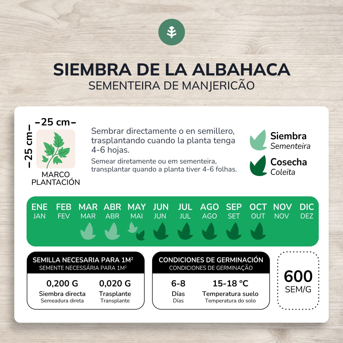 Organiczne nasiona bazylii genoweńskiej Planeta Huerto