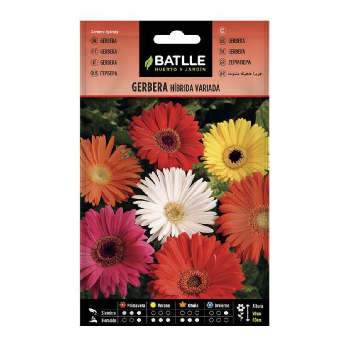 Gerbera Batlle-Samen