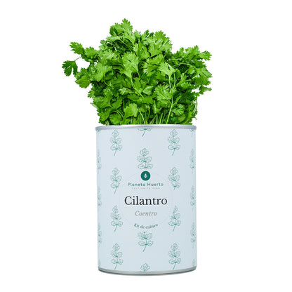 Aromatyczne zestawy do uprawy Chest Pack Planeta Huerto