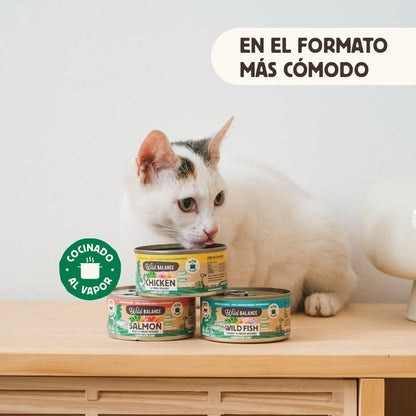 Pack of BARF chicken cans for cats 6 x 120 g Wild Balance