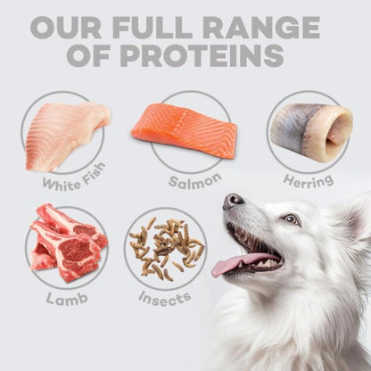 Nature's Protection White Dog Grain free foder för vuxna små hundar av lilla raser, 4 kg