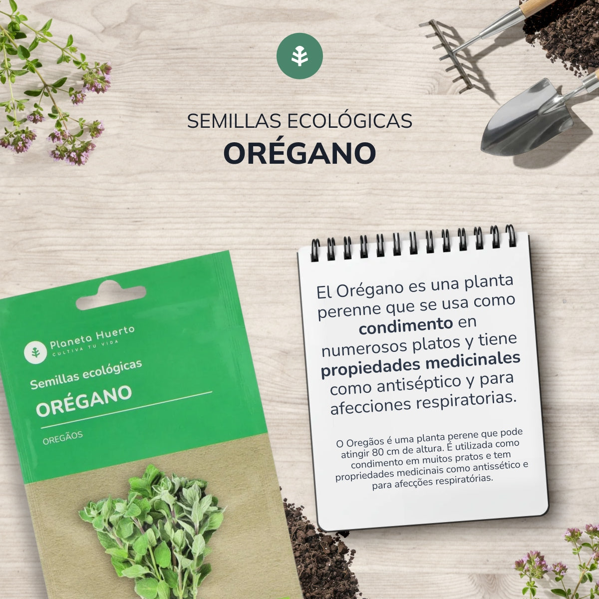 Bio Oregano Samen Planeta Huerto