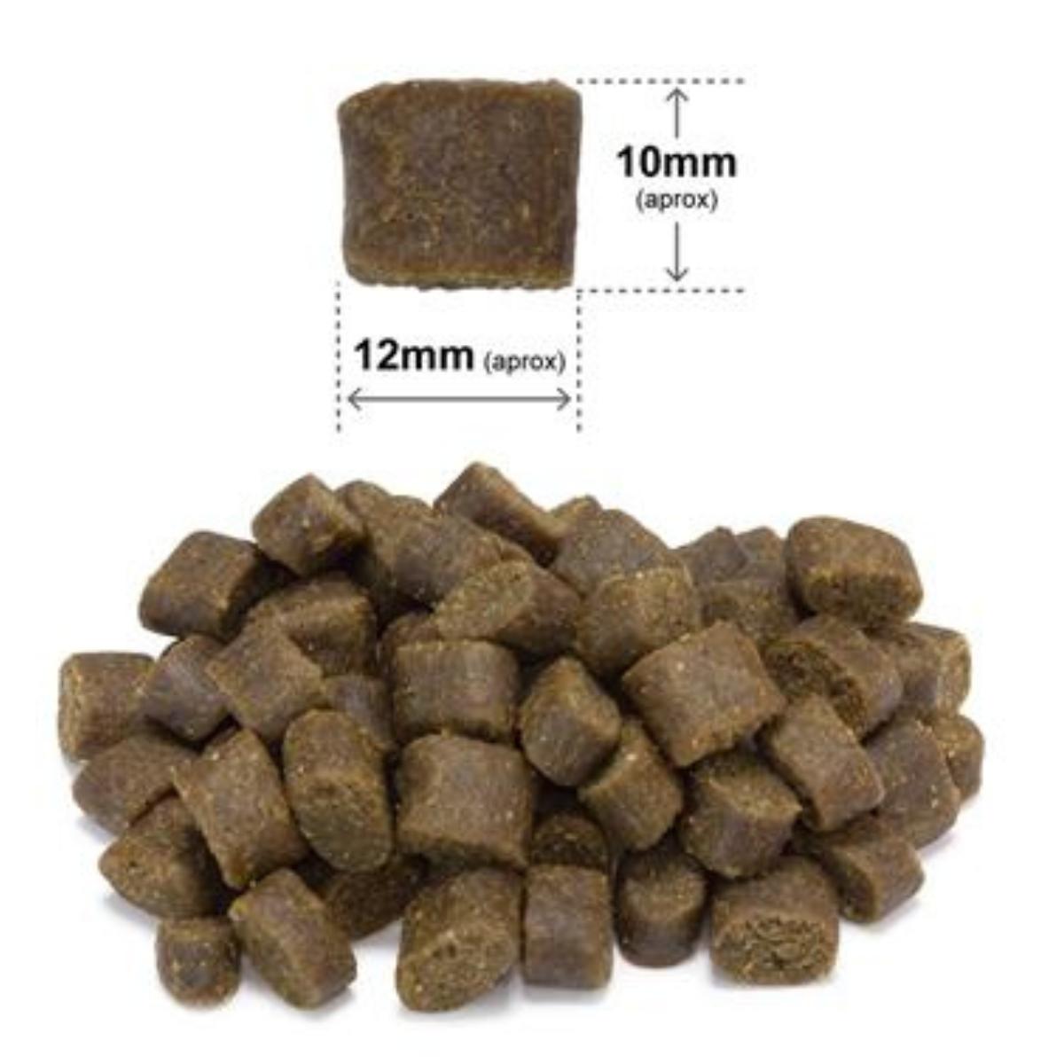 Fresh Ocean Fish Arquivet Complete semi-moist dog food 100 g