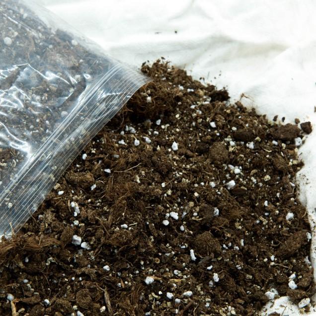 Universele substraat voor carnivoren 1 L