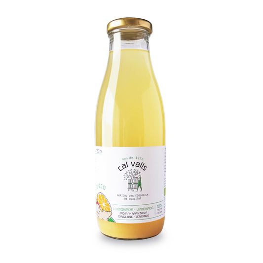 Limonade met appel en gember ECO 750 ml Cal Valls