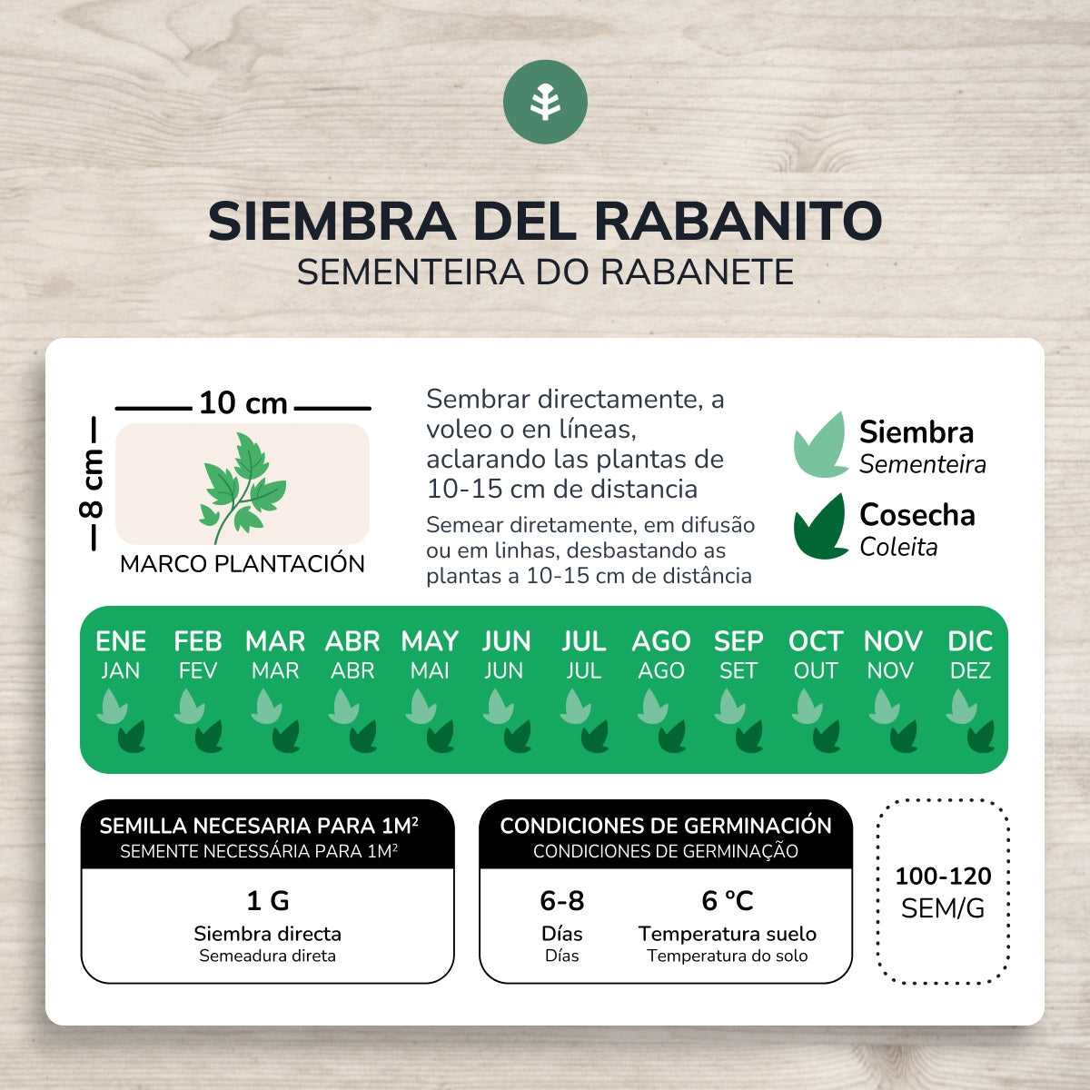 Semi biologici di Ravanello rosso rotondo saxa Planeta Huerto