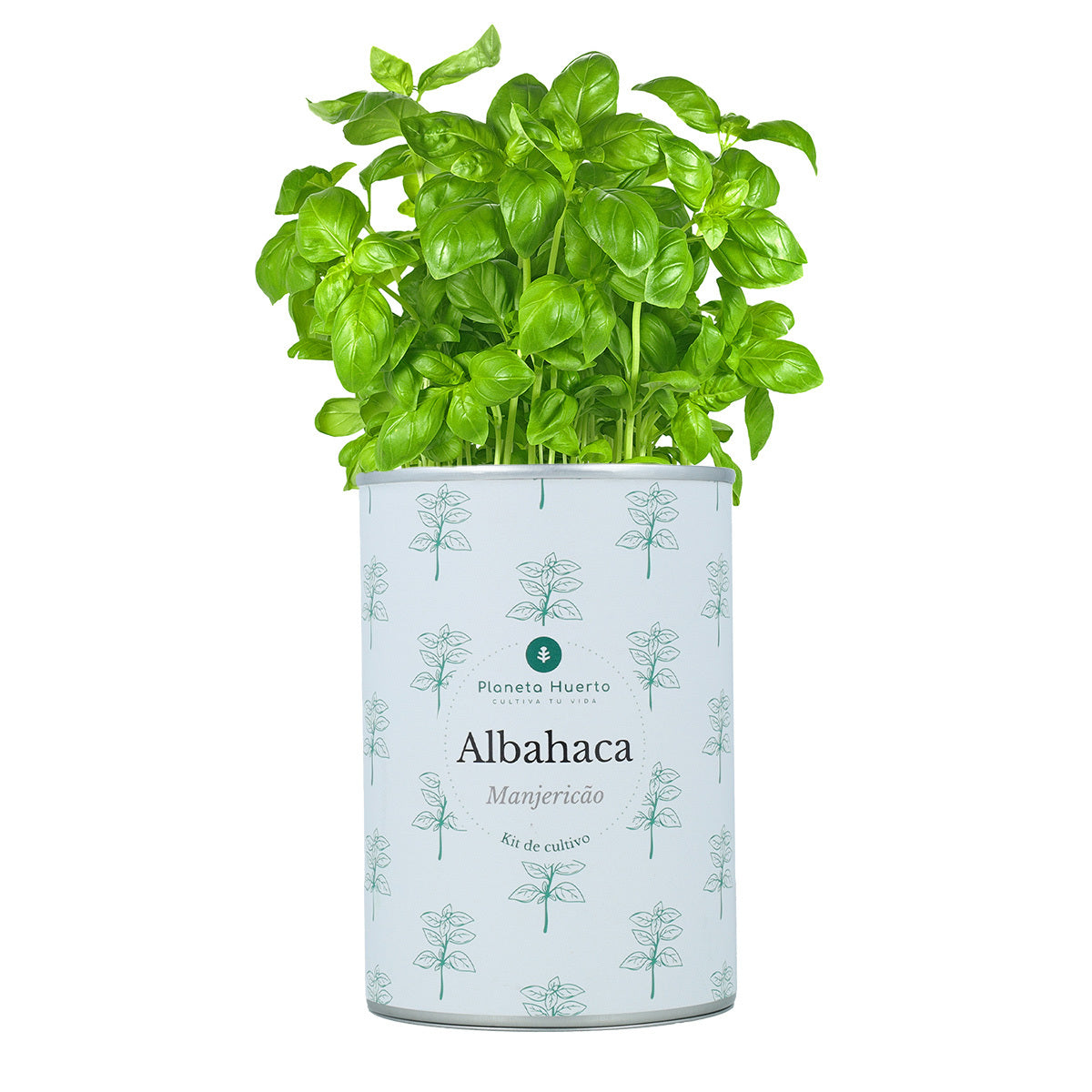 Aromatyczne zestawy do uprawy Chest Pack Planeta Huerto