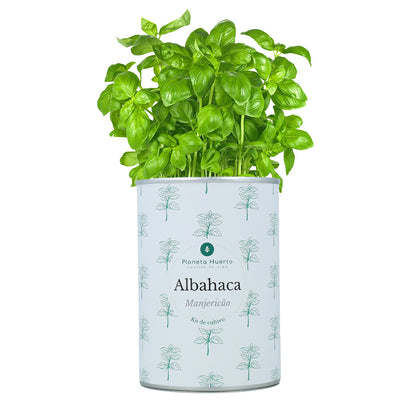 Aromatyczne zestawy do uprawy Chest Pack Planeta Huerto