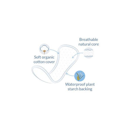 Protège-slip anatomique Natracare 30 unités