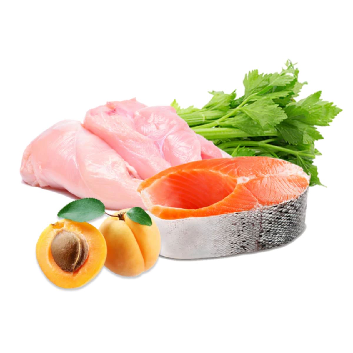 Nourriture humide Barf pour chiens Dinde et saumon Select BIO Puromenu 400 g