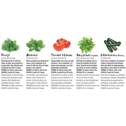 Zestaw do uprawy warzyw Vintage Eco Batlle