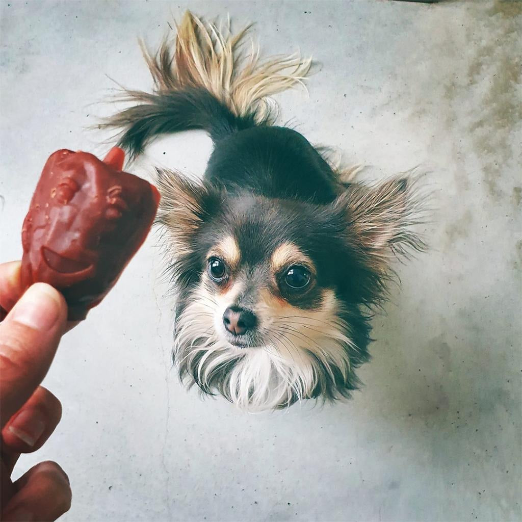 Garden Bites Veggie Friends Snack für Hunde S 18 Stück Duvo