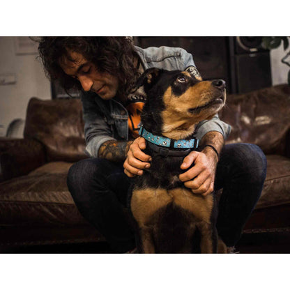 Collare per cani SKULLS Dukier XS