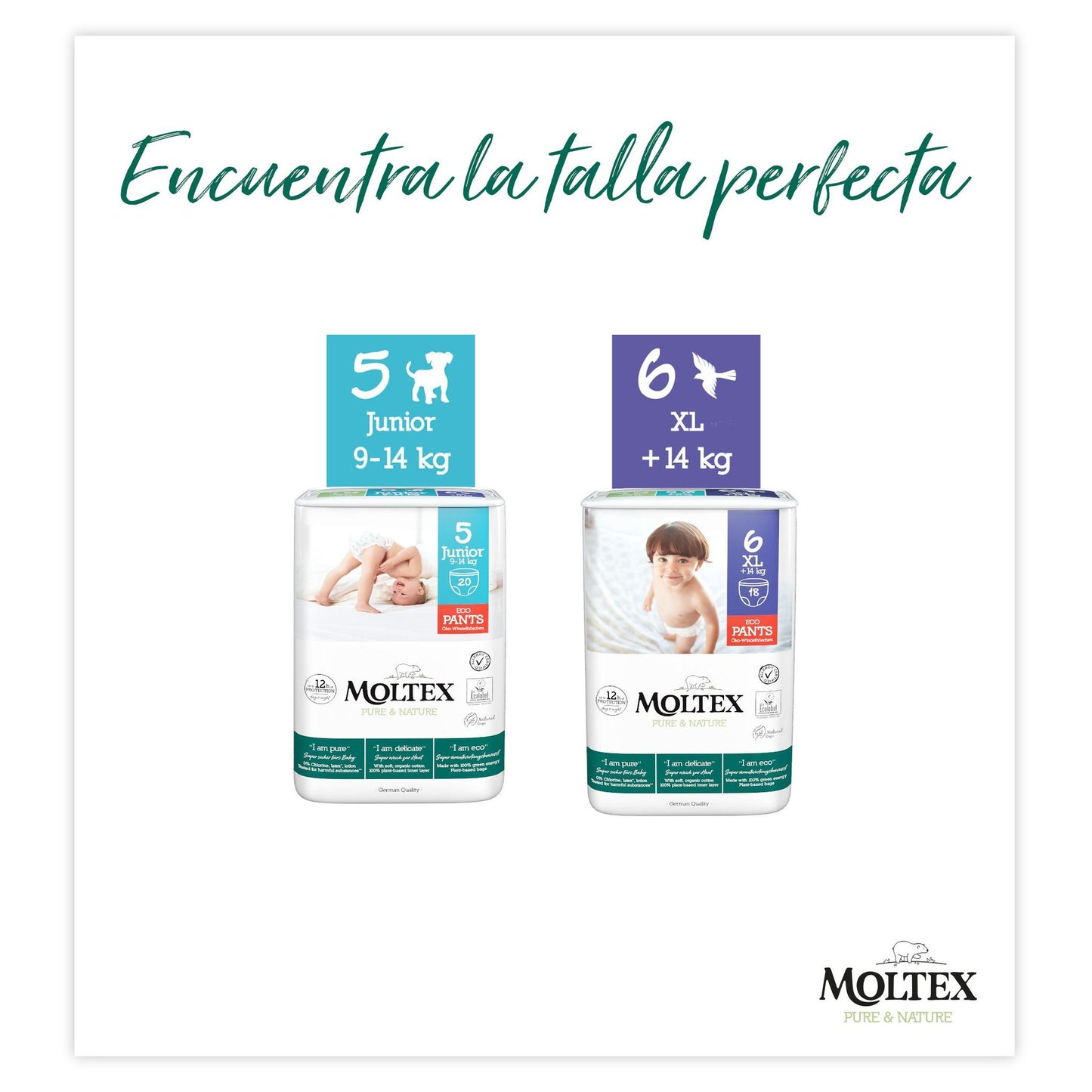 PROMO SPÉCIALE Couches Moltex Pure & Nature T5 (9-14 kg), 40 unités
