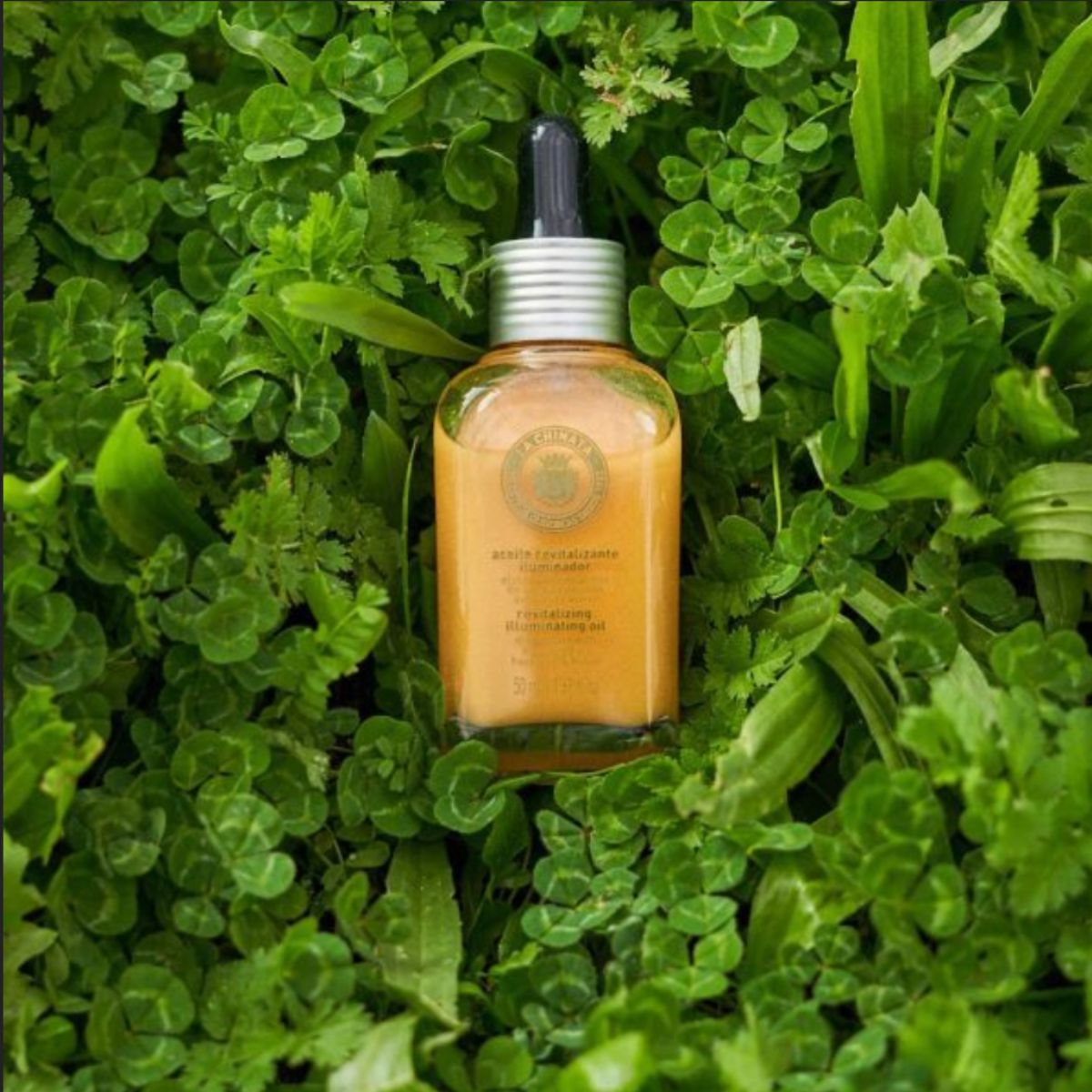 Huile revitalisante illuminatrice, La Chinata, 50 ml