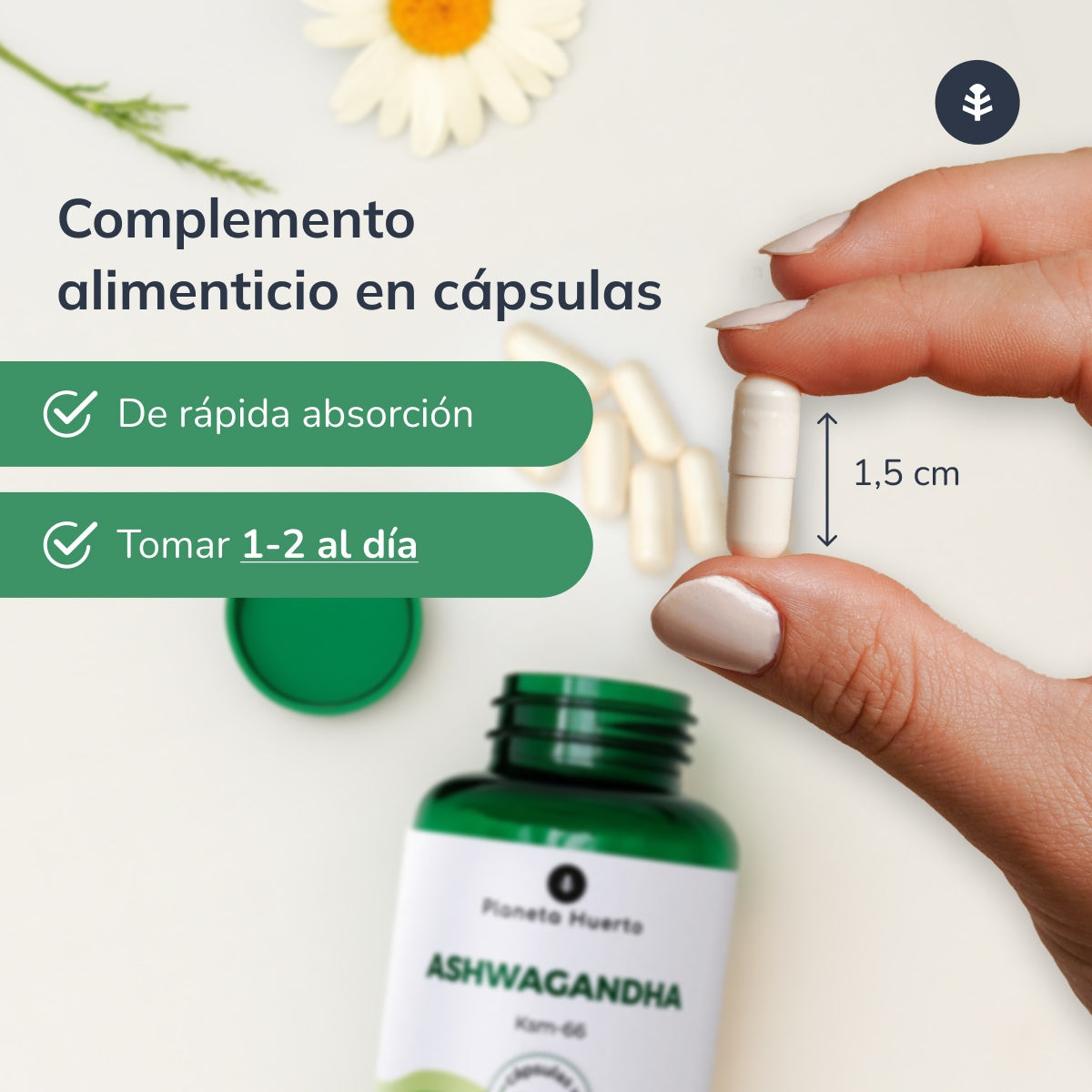 2er-Pack Ashwagandha KSM-66 Planeta Huerto 60 Kapseln